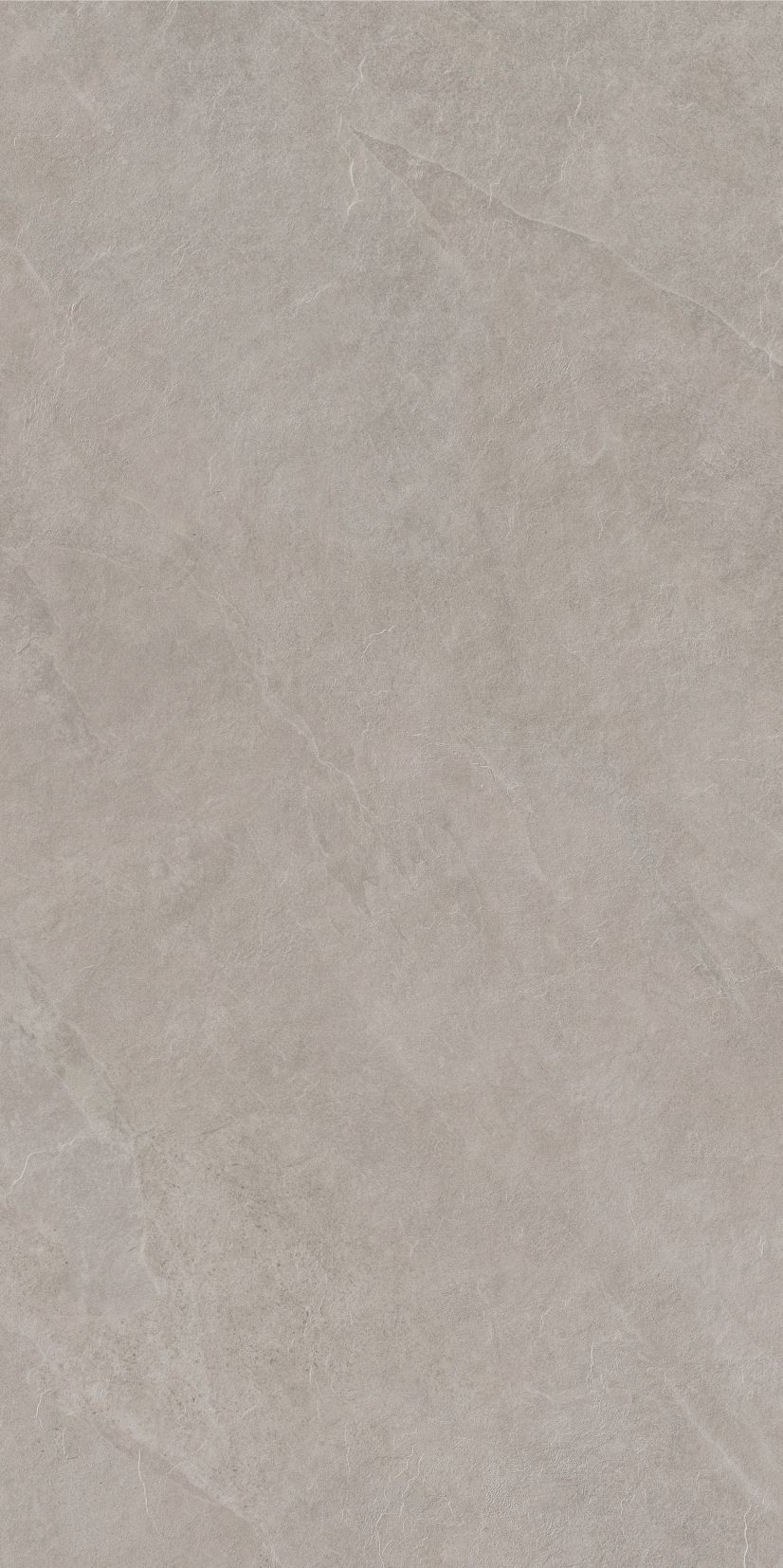 ASH beige limone 59,7x119,7 twarz1