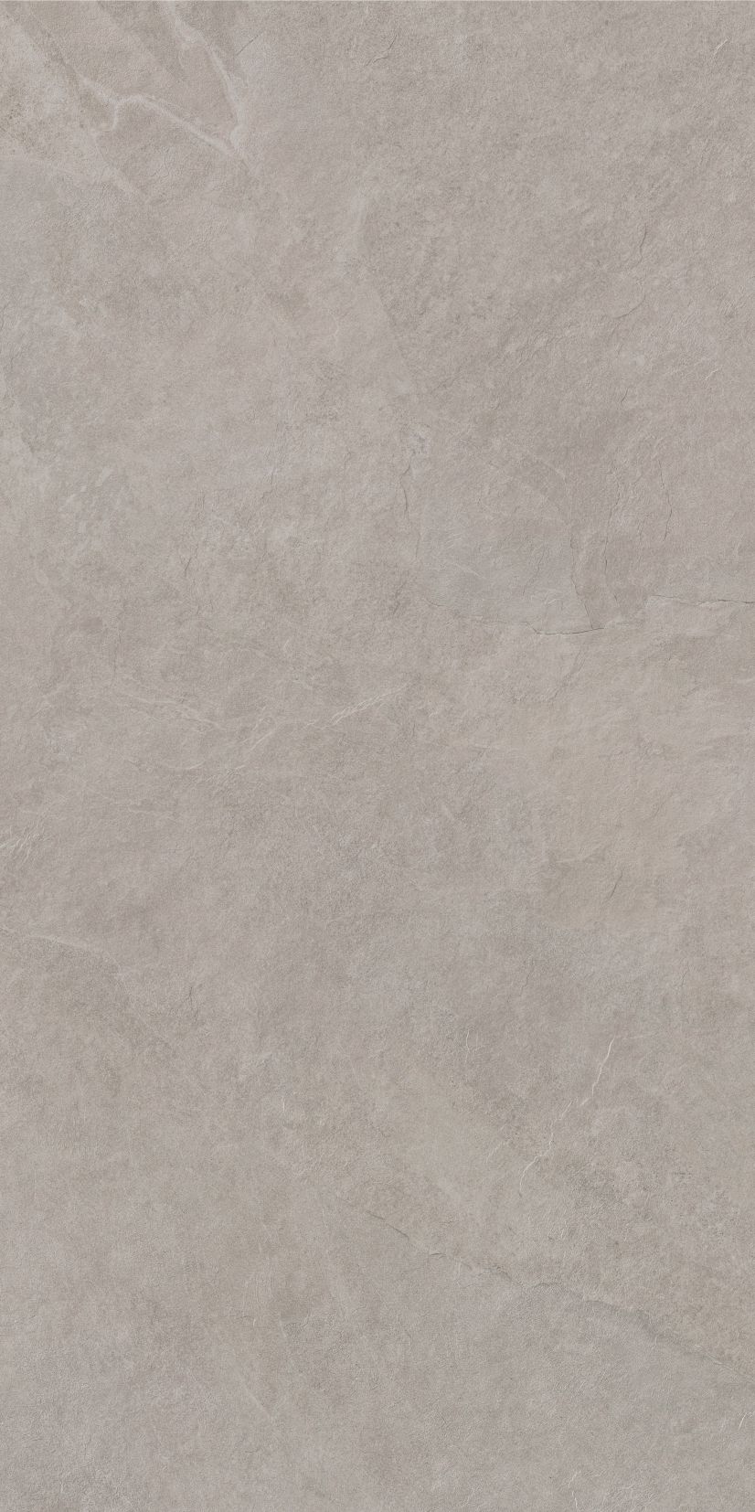 ASH beige limone 59,7x119,7 twarz8