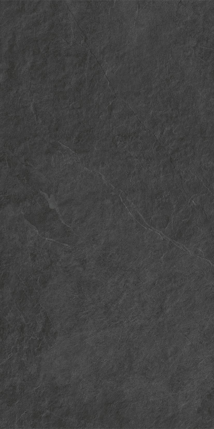 ASH black limone 59,7x119,7 twarz 9