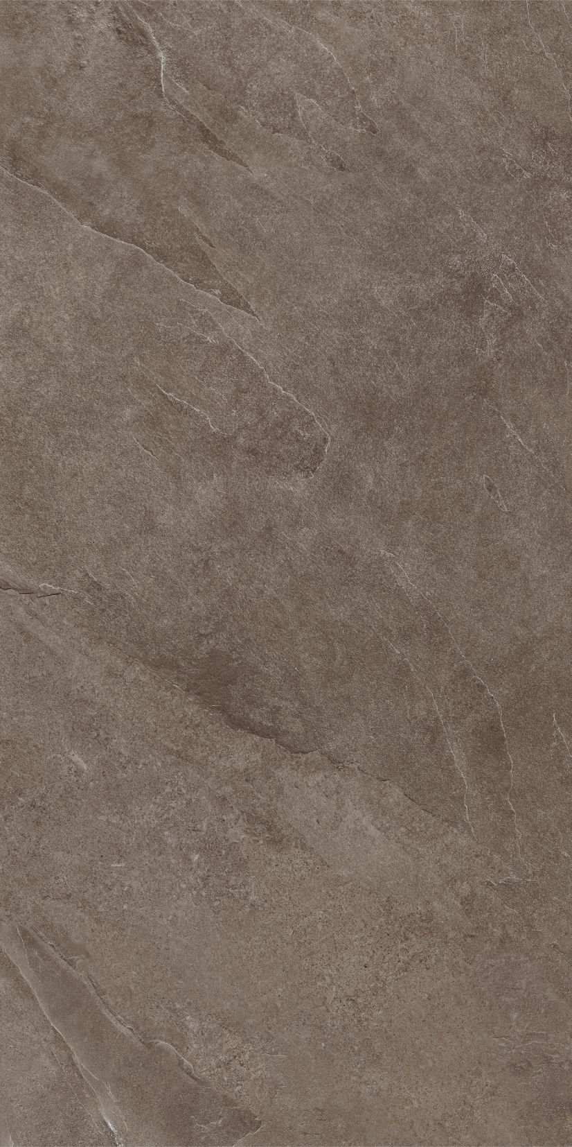 ASH brown limone 59,7x119,7 twarz 2