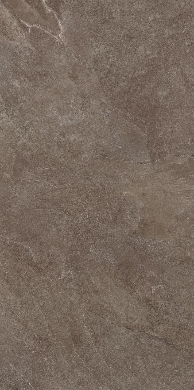 ASH brown limone 59,7x119,7 twarz 4