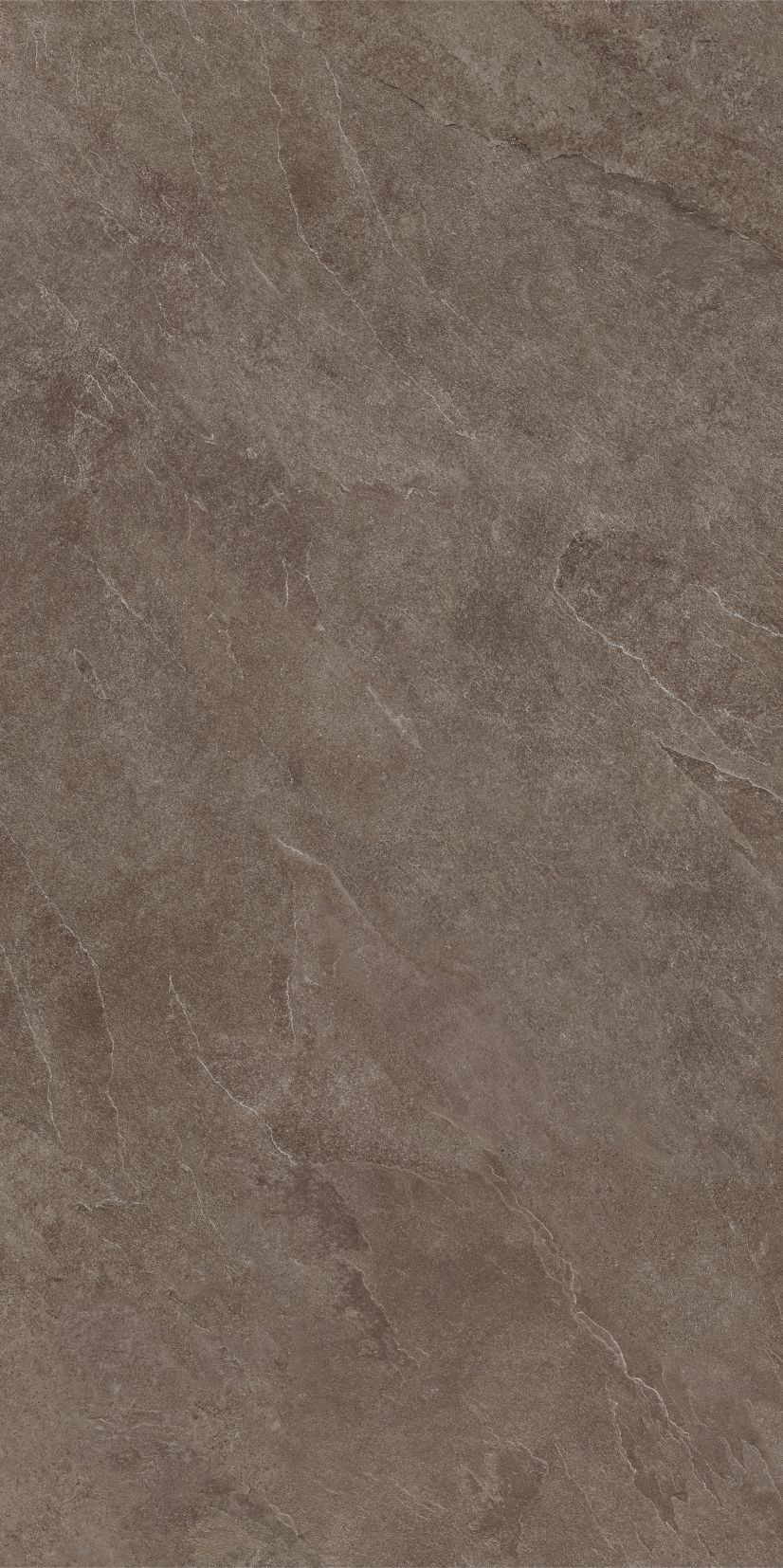 ASH brown limone 59,7x119,7 twarz 7