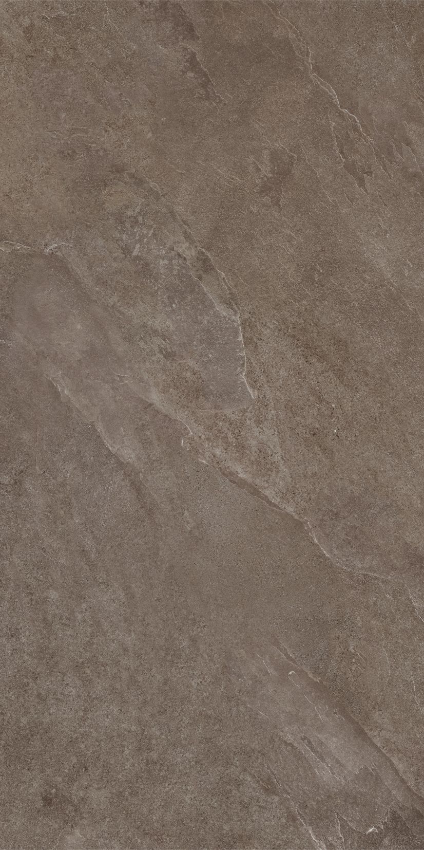 ASH brown limone 59,7x119,7 twarz 8