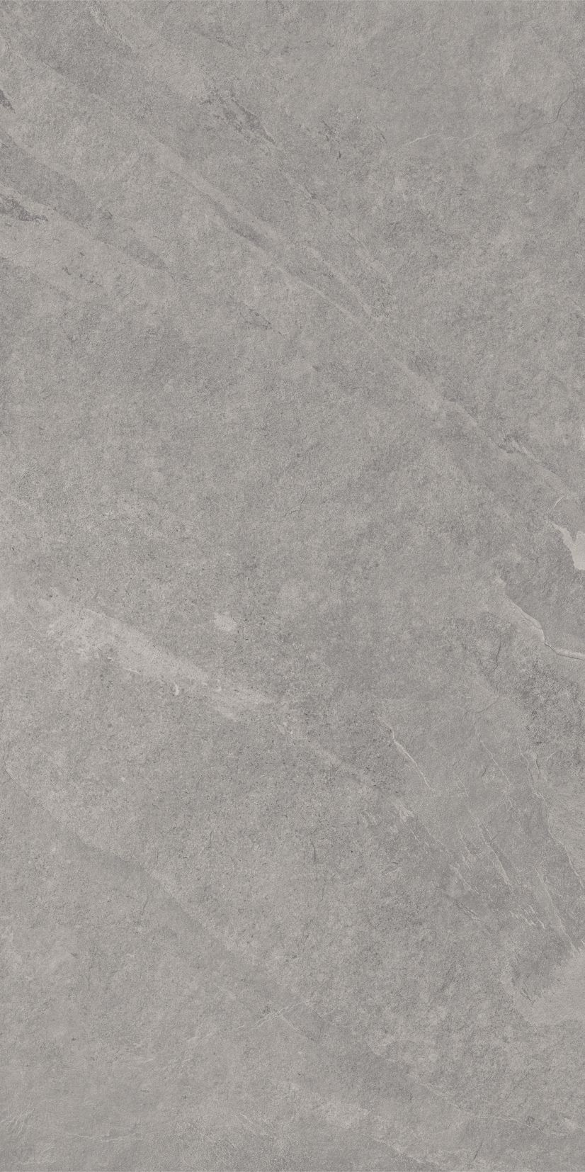 ASH silver limone 59,7x119,7 twarz 10