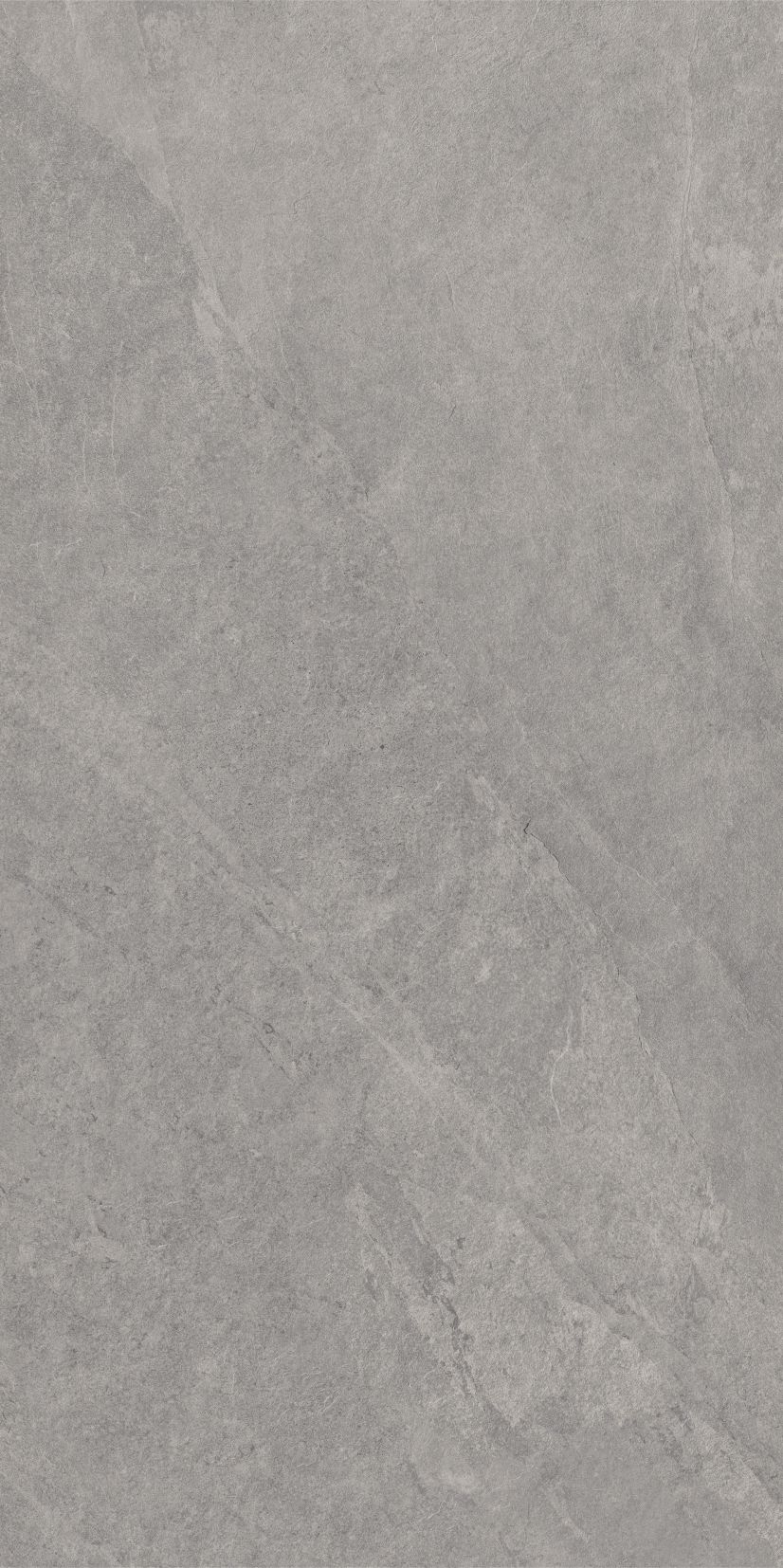 ASH silver limone 59,7x119,7 twarz 6