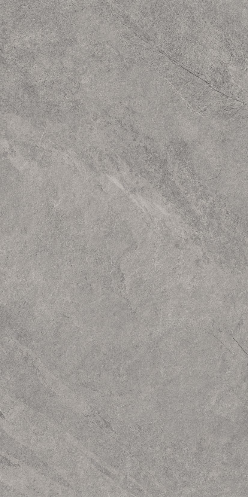 ASH silver limone 59,7x119,7 twarz 9