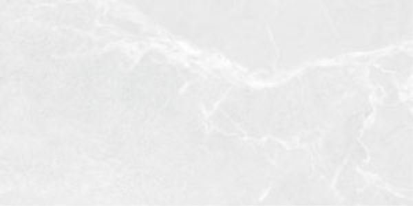 limone babilon silver 60x120 twarz 2